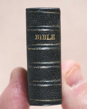 Load image into Gallery viewer, Holy Bible containing Old and New testaments. Bryce, David & Son. Glasgow. 1896.>>Gorgeously rebound English miniature Bible<<