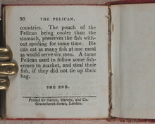 Load image into Gallery viewer, Miniature Historic Library, in Eight volumes. Early illustrated miniature children's books in oak chest. Alfred Mills. Darton and Harvey. London. 1807-