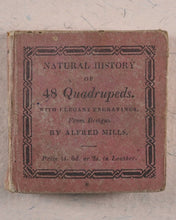 Load image into Gallery viewer, Mills, Alfred. Natural History of 48 Quadrupeds. Darton, Harvey & Darton and J. Harris. London. 1815.
