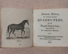 Load image into Gallery viewer, Mills, Alfred. Natural History of 48 Quadrupeds. Darton, Harvey & Darton and J. Harris. London. 1815.
