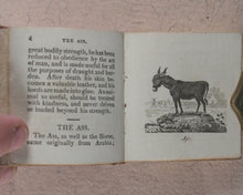 Load image into Gallery viewer, Mills, Alfred. Natural History of 48 Quadrupeds. Darton, Harvey & Darton and J. Harris. London. 1815.