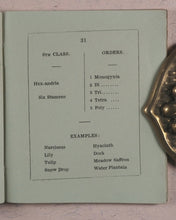 Load image into Gallery viewer, Clavis Botanica. A Key to the Study of Botany: on the System arranged by Linnaeus. Fry, Edmund, Houndsditch. London. 1834.