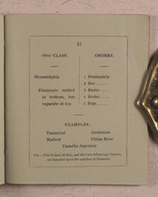 Load image into Gallery viewer, Clavis Botanica. A Key to the Study of Botany: on the System arranged by Linnaeus. Fry, Edmund, Houndsditch. London. 1834.