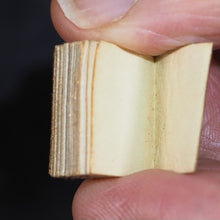 Load image into Gallery viewer, Gray, Thomas. Elegy in a Country Churchyard. Bryce, David & Son. Glasgow. 1911. 96 printed pages. Partially unopened and likely the only partially unopened example extant.