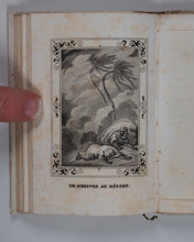 Load image into Gallery viewer, Bibliothèque Amusante de la Jeunesse. Aventures. Marcilly aîné, Rue St. Jacques no. 10. Paris. Circa 1838.