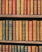 Load image into Gallery viewer, Shakespeare, William. Works. Bryce, David & Son. Glasgow. 1904. Hanging bookcase. Bryce's own copy.