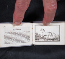 Load image into Gallery viewer, Petit Naturaliste. Marcilly. Rue St. Jacques, no. 10. Paris. 1829.