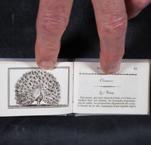 Load image into Gallery viewer, Petit Naturaliste. Marcilly. Rue St. Jacques, no. 10. Paris. 1829.