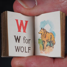 Load image into Gallery viewer, My Tiny Alphabet Book Bryce, David & Son. Glasgow. 1896. 2volumes in one.