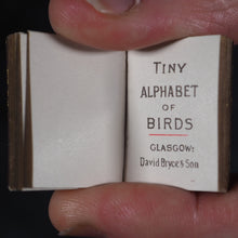 Load image into Gallery viewer, My Tiny Alphabet Book Bryce, David & Son. Glasgow. 1896. 2volumes in one.
