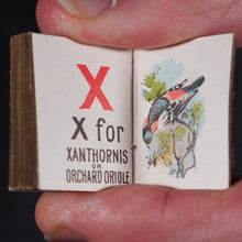 Load image into Gallery viewer, My Tiny Alphabet Book Bryce, David & Son. Glasgow. 1896. 2volumes in one.