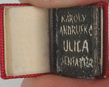 Load image into Gallery viewer, Andruško, Karolj. Ulica. K. Andruskó. Senta. 1972.