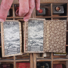 Load image into Gallery viewer, Sacchetti, Franco. Novelle cittadino fiorentino. G. Barbera, editore. Firenze. 1860. >>MINIATURE BOOKS WITH OCCULT ASSOCIATION IN GOTHIC BOOKCASE<<