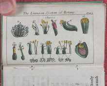Load image into Gallery viewer, Familiar introduction to botany. Illustrated with copper-plates. John Wallis. London. Printed by T. Gillet. 1803.