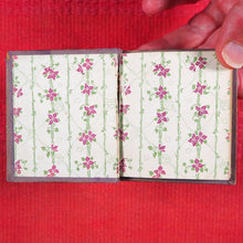 Load image into Gallery viewer, Esmeralda. >>MINIATURE FAIRY TALE<< Publication Date: 1910 CONDITION: VERY GOOD