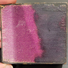 Load image into Gallery viewer, Mite Series in Tartan.