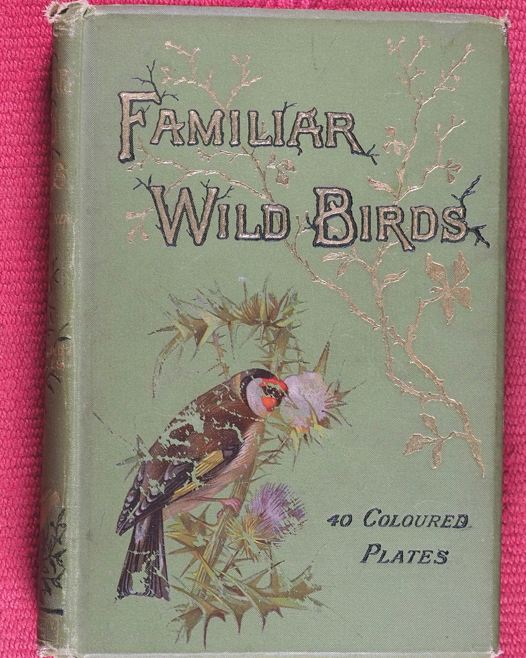 Familiar Wild Birds. [ORIGINAL  BINDINGS]. WALTER SWAYSLAND.  Published by London: Cassell & Company, Limited, 1883.