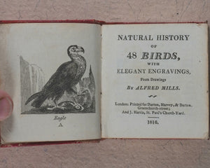 Miniature Historic Library,  in Eight volumes. Early illustrated miniature children's books in oak chest. Alfred Mills. Darton and Harvey. London. 1807-