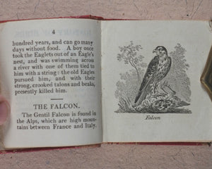 Miniature Historic Library,  in Eight volumes. Early illustrated miniature children's books in oak chest. Alfred Mills. Darton and Harvey. London. 1807-