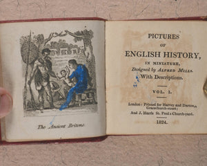 Miniature Historic Library,  in Eight volumes. Early illustrated miniature children's books in oak chest. Alfred Mills. Darton and Harvey. London. 1807-