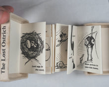 Load image into Gallery viewer, Berwick, Andrew, writen and illustrated by. The Lost Ostrich.  Self-published. 2010.
