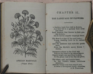 Miniature Language of Flowers and Alphabet of Floral Emblems. Weldon & Co. 9 Southampton Street, Strand, W.C. London. 1848.