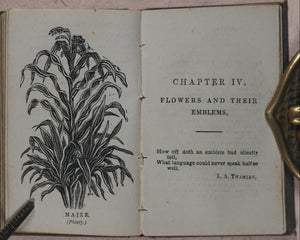 Miniature Language of Flowers and Alphabet of Floral Emblems. Weldon & Co. 9 Southampton Street, Strand, W.C. London. 1848.