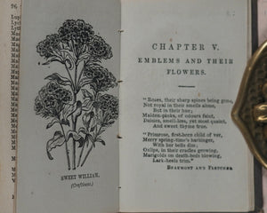 Miniature Language of Flowers and Alphabet of Floral Emblems. Weldon & Co. 9 Southampton Street, Strand, W.C. London. 1848.