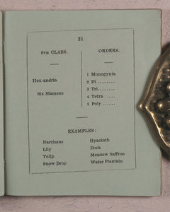 Clavis Botanica. A Key to the Study of Botany: on the System arranged by Linnaeus. Fry, Edmund, Houndsditch. London. 1834.