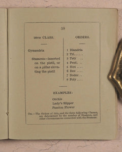 Clavis Botanica. A Key to the Study of Botany: on the System arranged by Linnaeus. Fry, Edmund, Houndsditch. London. 1834.