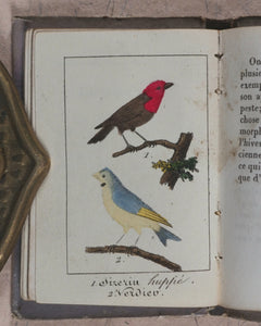 Petite Volière, La. Marcilly, Rue St. Jacques, No. 10. Paris. Circa 1820.