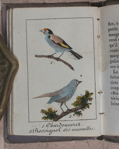 Petite Volière, La. Marcilly, Rue St. Jacques, No. 10. Paris. Circa 1820.