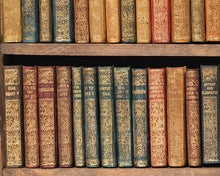 Load image into Gallery viewer, Shakespeare, William. Works. Bryce, David &amp; Son. Glasgow. 1904. Hanging bookcase. Bryce's own copy.
