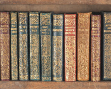 Load image into Gallery viewer, Shakespeare, William. Works. Bryce, David &amp; Son. Glasgow. 1904. Hanging bookcase. Bryce's own copy.
