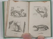 Load image into Gallery viewer, Book-case of Knowledge, or Library for Youth]. Wallis, John. Cundee, J. [or T. Gillet], printers. London. 1800-1803.2
