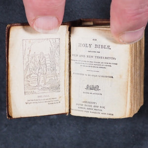 Holy Bible containing Old and New testaments: Translated Out Of The Original Tongues. Glasgow: David Bryce & Son. London: Henry Frowde. Oxford University Press Warehouse, Amen Corner. 1901. 1911 Coronation Bible.