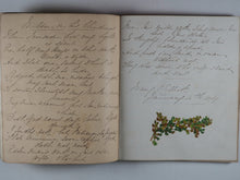 Load image into Gallery viewer, Mid-Victorian Album or Commonplace Book. Pressed flowers, frenware art, poetry, signed and dated inscriptions. 1878.
