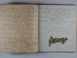 Mid-Victorian Album or Commonplace Book. Pressed flowers, frenware art, poetry, signed and dated inscriptions. 1878.