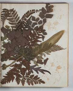 Mid-Victorian Album or Commonplace Book. Pressed flowers, frenware art, poetry, signed and dated inscriptions. 1878.