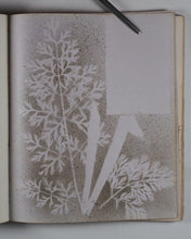 Load image into Gallery viewer, Mid-Victorian Album or Commonplace Book. Pressed flowers, frenware art, poetry, signed and dated inscriptions. 1878.
