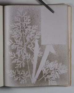 Mid-Victorian Album or Commonplace Book. Pressed flowers, frenware art, poetry, signed and dated inscriptions. 1878.