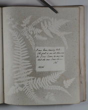 Load image into Gallery viewer, Mid-Victorian Album or Commonplace Book. Pressed flowers, frenware art, poetry, signed and dated inscriptions. 1878.
