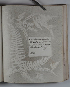 Mid-Victorian Album or Commonplace Book. Pressed flowers, frenware art, poetry, signed and dated inscriptions. 1878.