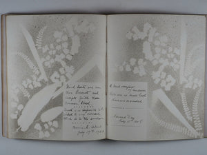 Mid-Victorian Album or Commonplace Book. Pressed flowers, frenware art, poetry, signed and dated inscriptions. 1878.