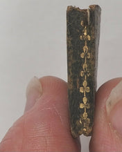 Load image into Gallery viewer, Petit volage pour l'anée 1819, Le. No publisher. [Paris]. [1818].

