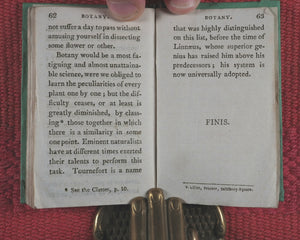 Familiar introduction to botany. Illustrated with copper-plates. John Wallis. London. Printed by T. Gillet. 1803.