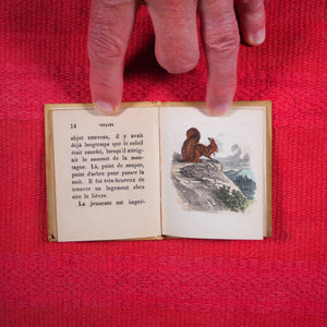 Voyages et aventures de Bob l'écureuil. Texte traduit de l'anglais. >>MINIATURE FRENCH BOOK OF A SQUIRREL<< Publication Date: 1834 CONDITION: VERY GOOD