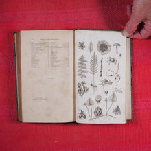 Load image into Gallery viewer, Principles of Botany, And of Vegetable Physiology. Translated from the German. WILLDENOW, D. C[arl], [Ludwig]. Published by William Blackwood and Cadell and Davies. Edinburgh First edition. 8vo, 1805 HARDCOVER
