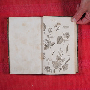 Principles of Botany, And of Vegetable Physiology. Translated from the German. WILLDENOW, D. C[arl], [Ludwig]. Published by William Blackwood and Cadell and Davies. Edinburgh First edition. 8vo, 1805 HARDCOVER