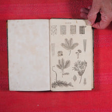 Load image into Gallery viewer, Principles of Botany, And of Vegetable Physiology. Translated from the German. WILLDENOW, D. C[arl], [Ludwig]. Published by William Blackwood and Cadell and Davies. Edinburgh First edition. 8vo, 1805 HARDCOVER
